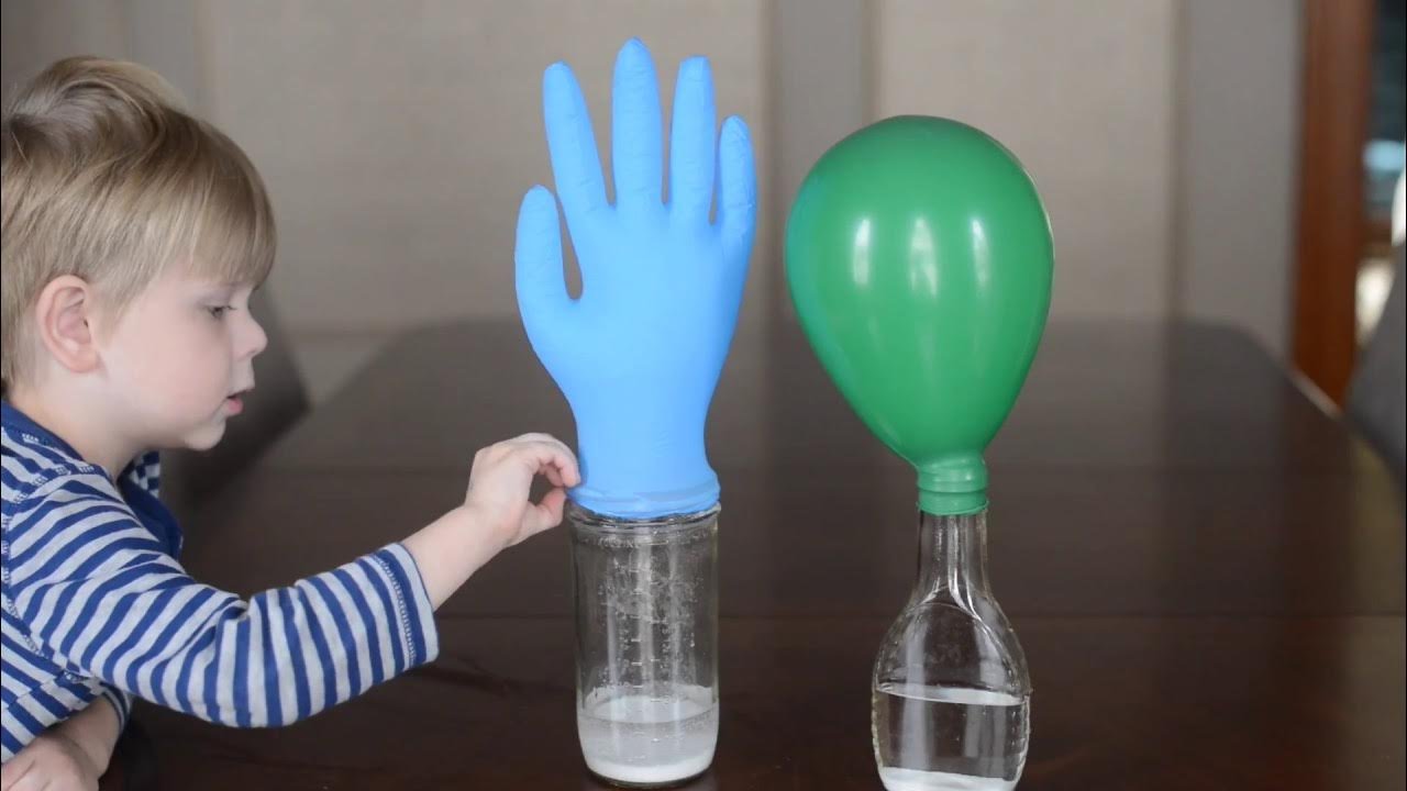 The Best Science Experiments for Students